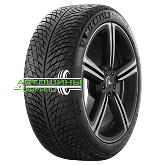 255/40R21 Michelin Pilot Alpin 5 102V
